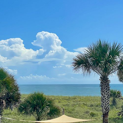 The image shows a scenic beach view with palm trees in the foreground, a clear blue sky with fluffy white clouds, and the ocean in the background.