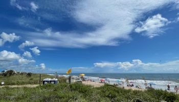 A beach scene with clear blue skies, scattered clouds, beachgoers, colorful umbrellas, and lush green vegetation in the foreground.