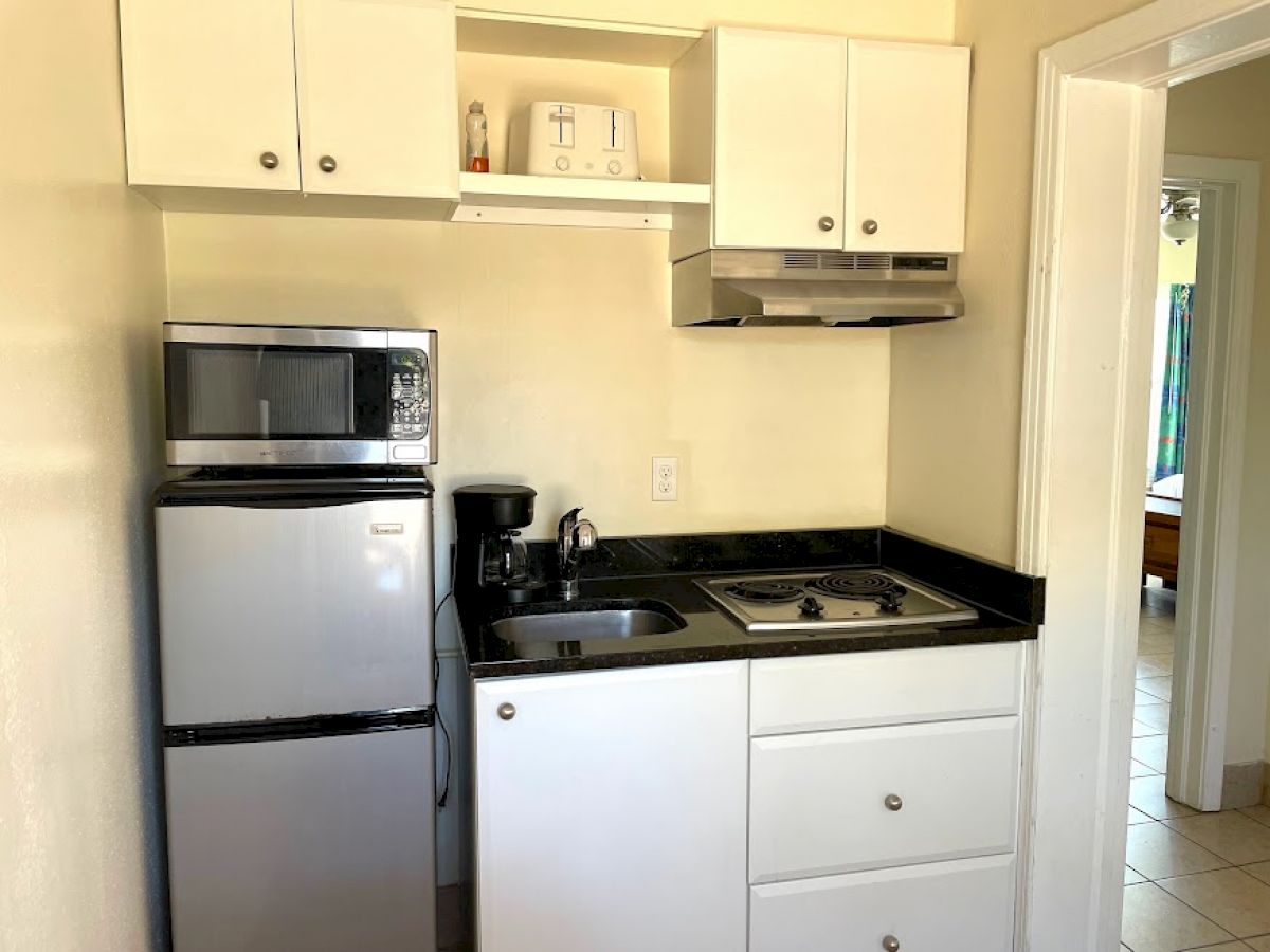 A small kitchenette with a mini fridge, microwave, toaster, coffee maker, sink, stovetop, and cabinets is visible, adjacent to another room.